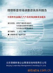 北京理德斯普企業(yè)管理咨詢有限責(zé)任公司 卓越管理，專業(yè)賦能